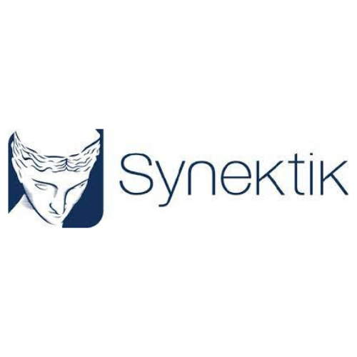 Synektik logo